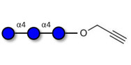 Maltotriose DP3 with terminal alkyne (Linker-CΞCH B)