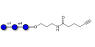 Maltotriose DP3 with terminal alkyne (Linker-CΞCH C)
