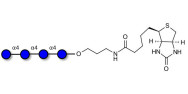 Maltotetraose DP4 linked to biotin (Linker-BT B)