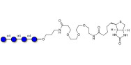 Maltotetraose DP4 linked to biotin (Linker-BT C)