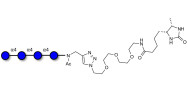 Maltotetraose DP4 linked to desthiobiotin (Linker-DBT-A)