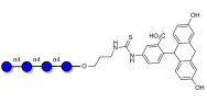 Maltotetraose DP4 linked to fluorescein (Linker-FLUO A)