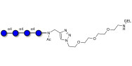 Maltotetraose DP4 grafted on gel for affinity chromatography (Linker-GEL A)