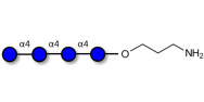 Maltotetraose DP4 with free terminal amine (Linker-NH2 A)