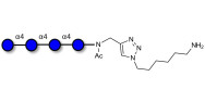 Maltotetraose DP4 with free terminal amine (Linker-NH2 D)