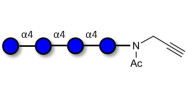 Maltotetraose DP4 with terminal alkyne (Linker-CΞCH A)