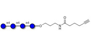 Maltotetraose DP4 with terminal alkyne (Linker-CΞCH C)