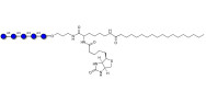 Maltopentaose DP5 linked to biotin and stearic chain (Linker-BT-STEA A)