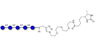 Maltopentaose DP5 linked to desthiobiotin (Linker-DBT-A)