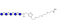 Maltopentaose DP5 grafted on gel for affinity chromatography (Linker-GEL A)