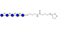 Maltopentaose DP5 with cyclic di-thiol (Linker-LIPO A)