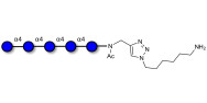 Maltopentaose DP5 with free terminal amine (Linker-NH2 D)