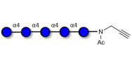 Maltopentaose DP5 with terminal alkyne (Linker-CΞCH A)