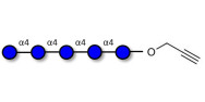 Maltopentaose DP5 with terminal alkyne (Linker-CΞCH B)