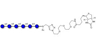 Maltohexaose DP6 linked to biotin (Linker-BT A)