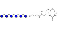 Maltohexaose DP6 linked to biotin (Linker-BT B)