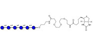 Maltohexaose DP6 linked to biotin (Linker-BT C)