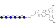Maltohexaose DP6 linked to fluorescein (Linker-FLUO A)