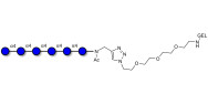Maltohexaose DP6 grafted on gel for affinity chromatography (Linker-GEL A)
