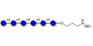 Maltohexaose DP6 grafted on gel for affinity chromatography (Linker-GEL B)
