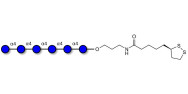 Maltohexaose DP6 with cyclic di-thiol (Linker-LIPO A)