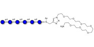 Maltohexaose DP6 with free terminal amine (Linker-NH2 C)