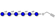 Maltohexaose DP6 with terminal alkyne (Linker-CΞCH B)
