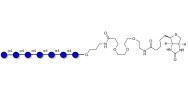 Maltoheptaose DP7 linked to biotin (Linker-BT C)