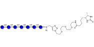 Maltoheptaose DP7 linked to desthiobiotin (Linker-DBT-A)