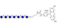 Maltoheptaose DP7 linked to fluorescein (Linker-FLUO A)