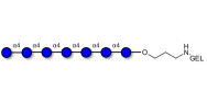 Maltoheptaose DP7 grafted on gel for affinity chromatography (Linker-GEL B)