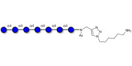 Maltoheptaose DP7 with free terminal amine (Linker-NH2 D)