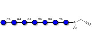 Maltoheptaose DP7 with terminal alkyne (Linker-CΞCH A)