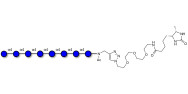 Maltooctaose DP8 linked to desthiobiotin (Linker-DBT-A)