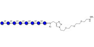 Maltooctaose DP8 grafted on gel for affinity chromatography (Linker-GEL A)