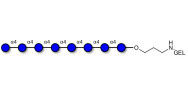 Maltooctaose DP8 grafted on gel for affinity chromatography (Linker-GEL B)