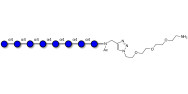 Maltooctaose DP8 with free terminal amine (Linker-NH2 B)