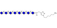 Maltooctaose DP8 with free terminal amine (Linker-NH2 D)