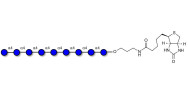 Maltononaose DP9 linked to biotin (Linker-BT B)