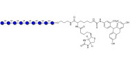 Maltononaose DP9 linked to biotin and fluorescein (Linker-BT-FLUO A)