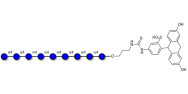 Maltononaose DP9 linked to fluorescein (Linker-FLUO A)