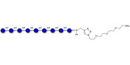 Maltononaose DP9 with free terminal amine (Linker-NH2 B)