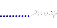 Maltodecaose DP10 linked to biotin (Linker-BT C)
