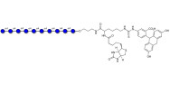 Maltodecaose DP10 linked to biotin and fluorescein (Linker-BT-FLUO A)