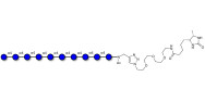 Maltodecaose DP10 linked to desthiobiotin (Linker-DBT-A)