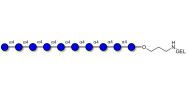 Maltodecaose DP10 grafted on gel for affinity chromatography (Linker-GEL B)