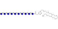 Maltodecaose DP10 with free terminal amine (Linker-NH2 C)