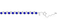Maltodecaose DP10 with free terminal amine (Linker-NH2 D)