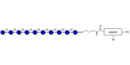 Maltodecaose DP10 with customizable dual functionalization 