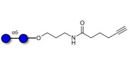 Isomaltose DP2 with terminal alkyne (Linker-CΞCH C)